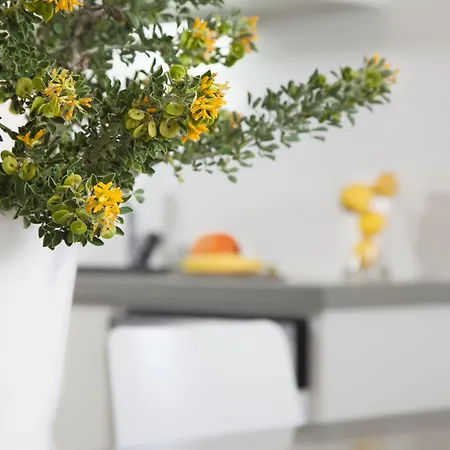 Σπίτι διακοπών Plan-b Holidays *