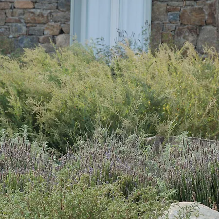 Σπίτι διακοπών Plan-b Holidays *