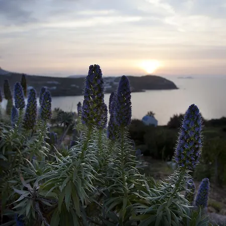 Σπίτι διακοπών Plan-b Holidays Καλό Λιβάδι