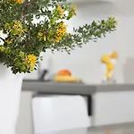 Holiday home Plan-b Holidays *