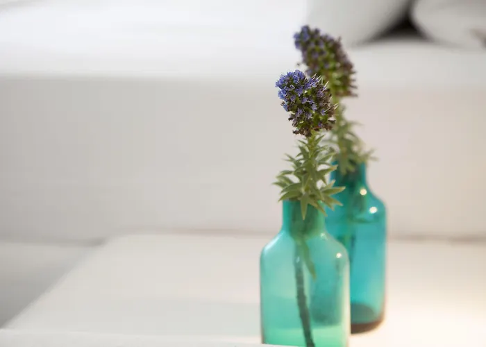 Holiday home Plan-b Holidays