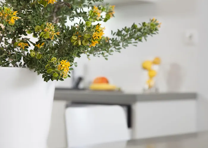 Holiday home Plan-b Holidays *