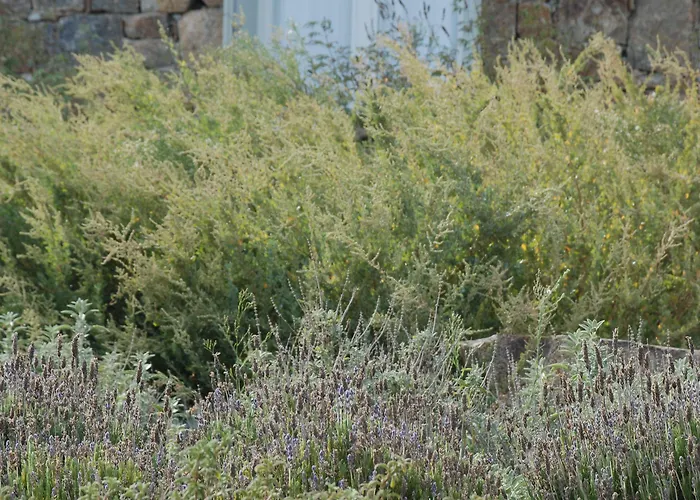 Holiday home Plan-b Holidays *