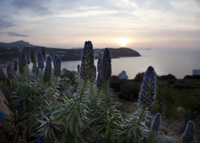 Holiday home Plan-b Holidays Kalo Livadi